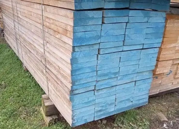 Pacchi di tavole da ponteggio in abete con le teste verniciate di blu