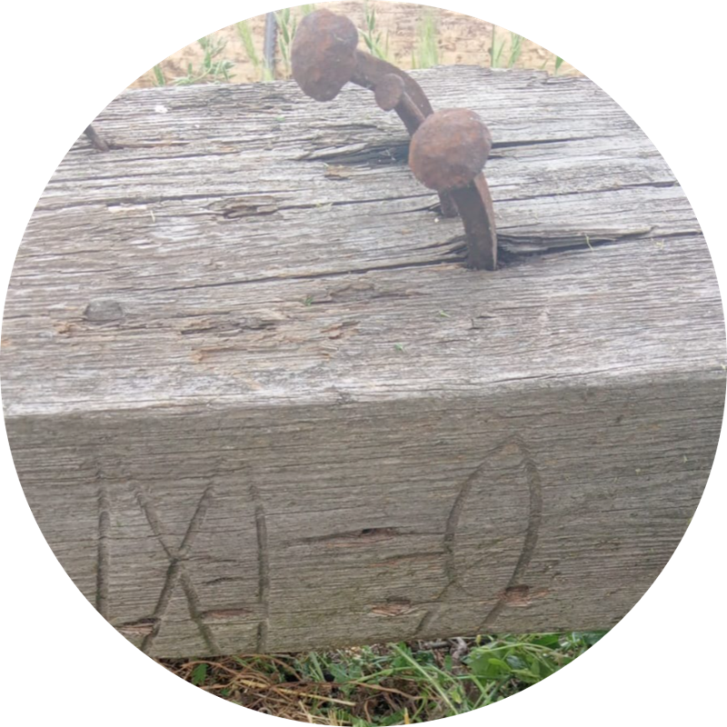 Vecchia trave di legno con chiodi forgiati